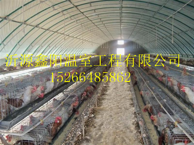 養(yǎng)殖大棚