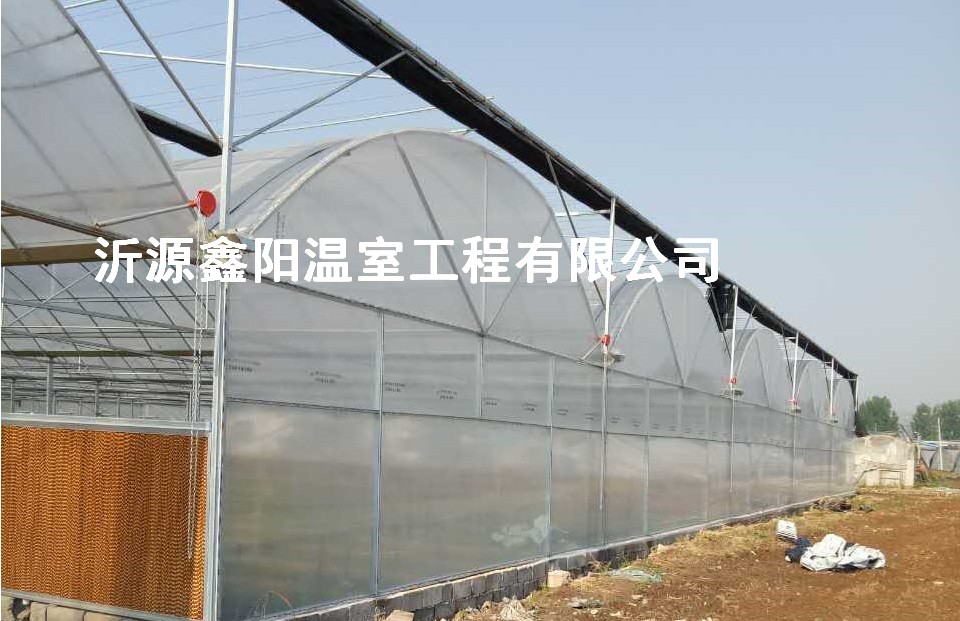 養(yǎng)殖大棚