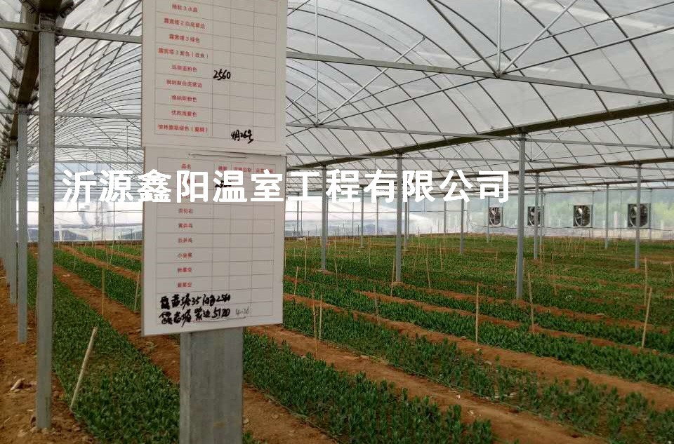 養(yǎng)殖大棚