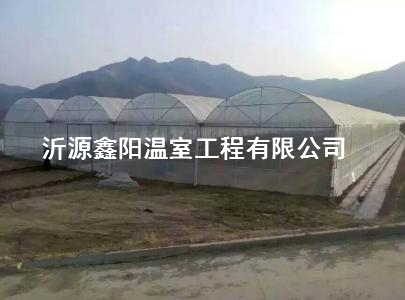 養(yǎng)殖大棚