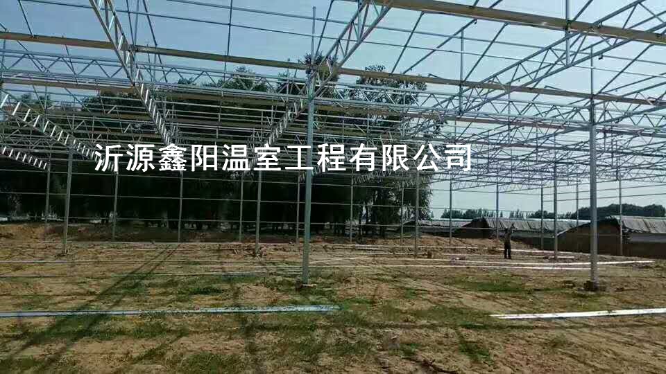 養(yǎng)殖大棚
