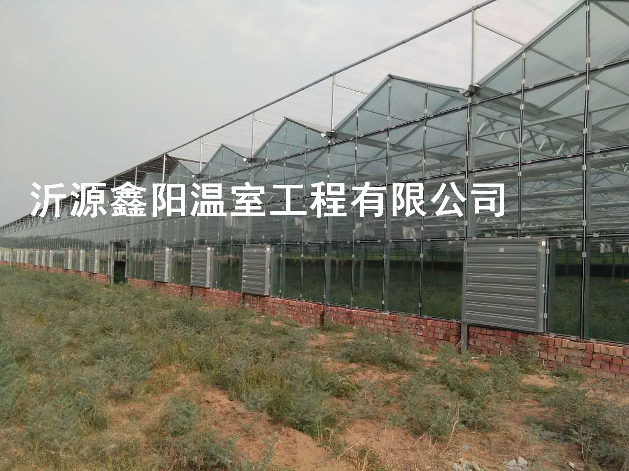 養(yǎng)殖大棚