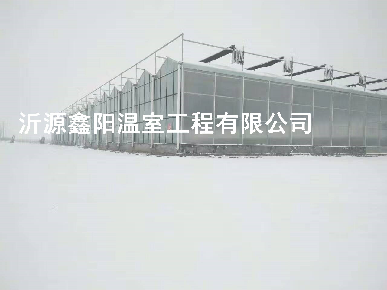 養(yǎng)殖大棚