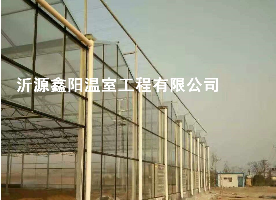 養(yǎng)殖大棚