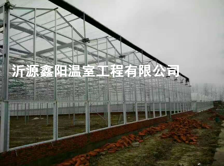 養(yǎng)殖大棚