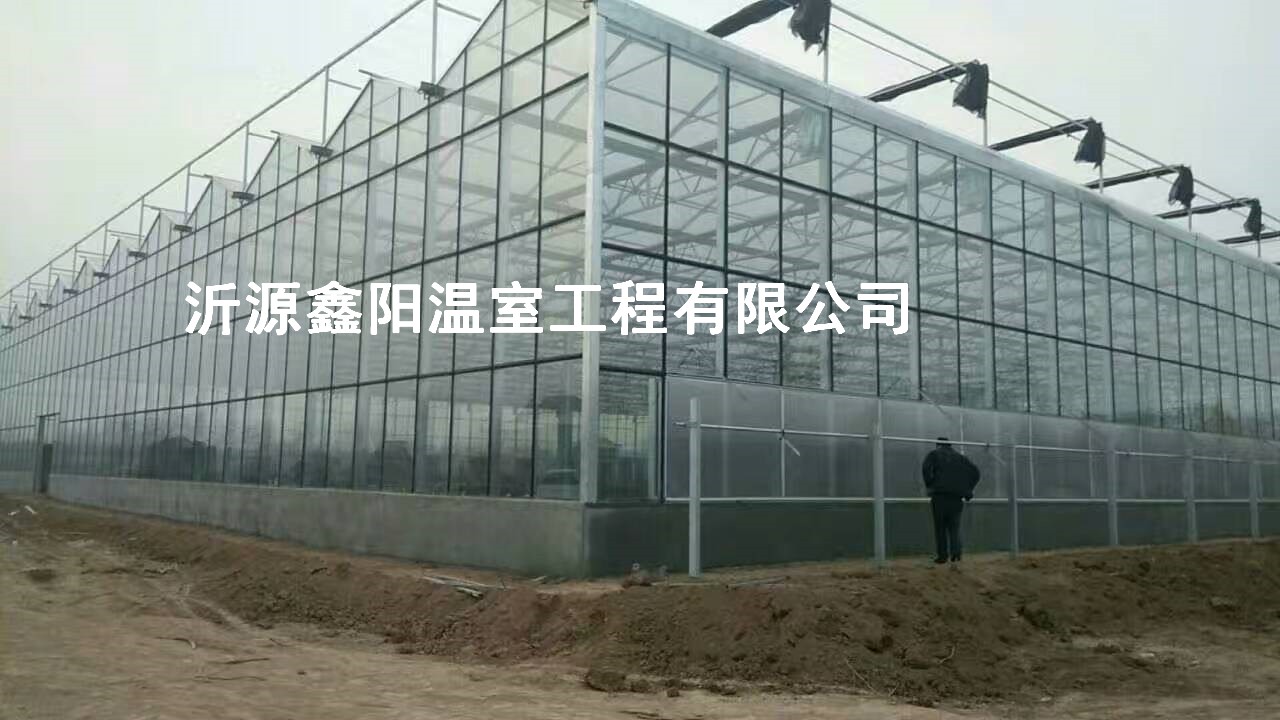 養(yǎng)殖大棚
