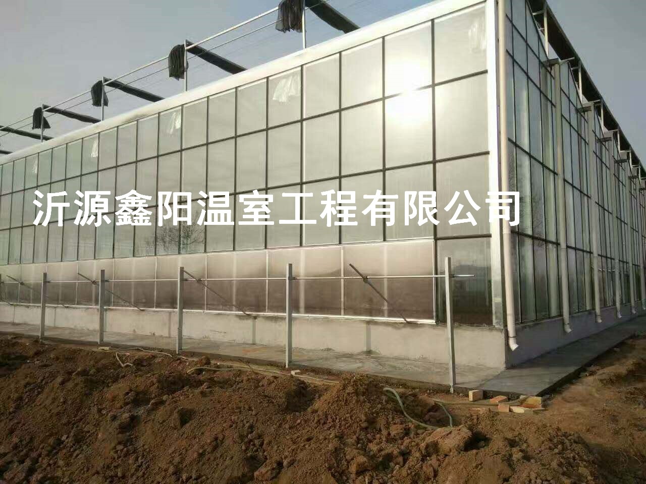 養(yǎng)殖大棚