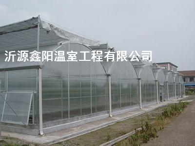 養(yǎng)殖大棚