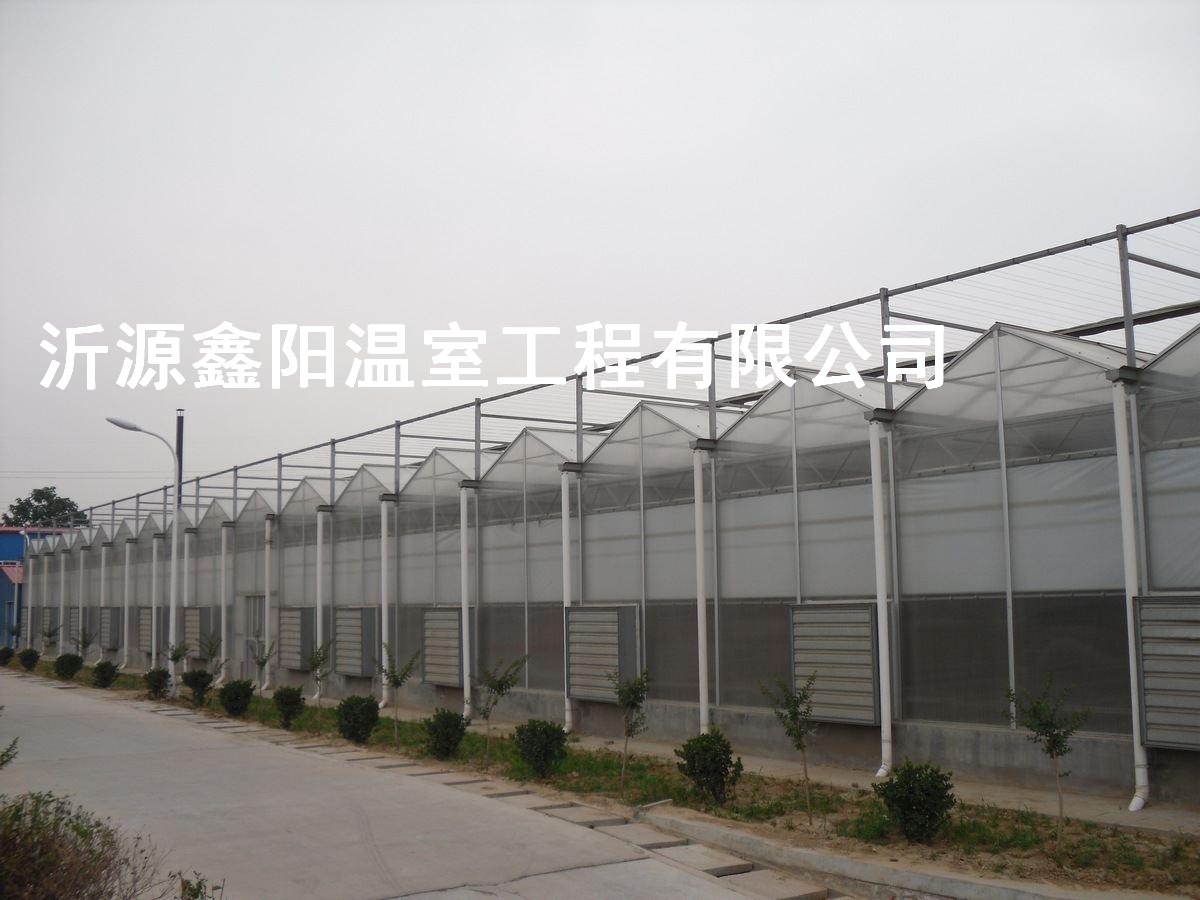 養(yǎng)殖大棚
