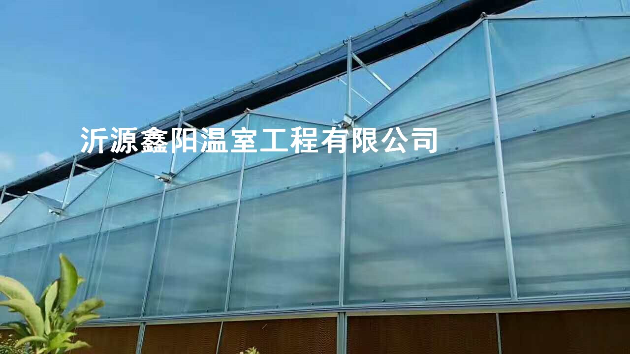 養(yǎng)殖大棚