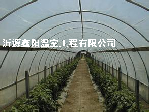 養(yǎng)殖大棚