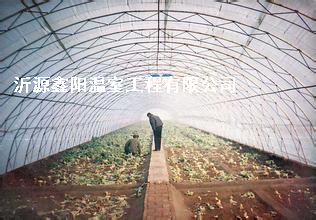 養(yǎng)殖大棚