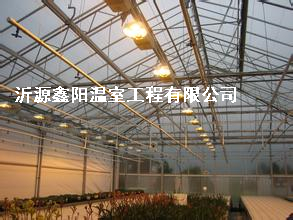 養(yǎng)殖大棚