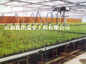養(yǎng)殖大棚