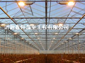 養(yǎng)殖大棚