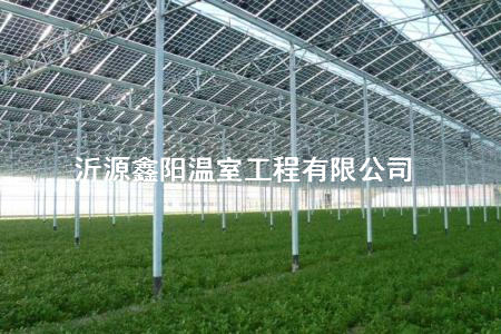 養(yǎng)殖大棚