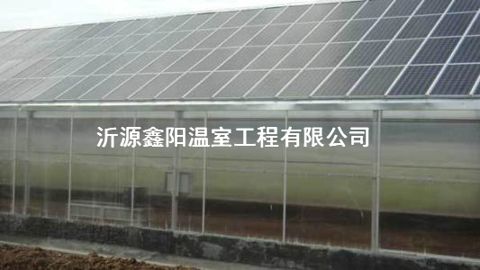 96.jpg