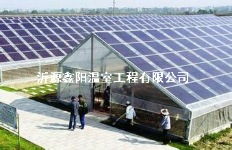養(yǎng)殖大棚