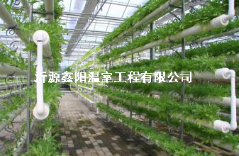 養(yǎng)殖大棚
