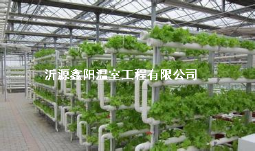 養(yǎng)殖大棚