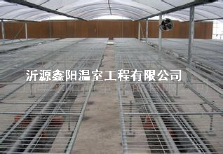 養(yǎng)殖大棚
