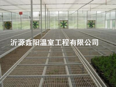 養(yǎng)殖大棚