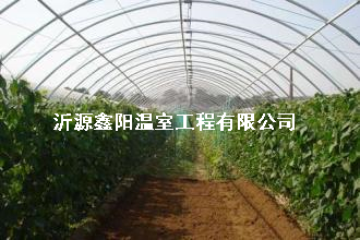 養(yǎng)殖大棚